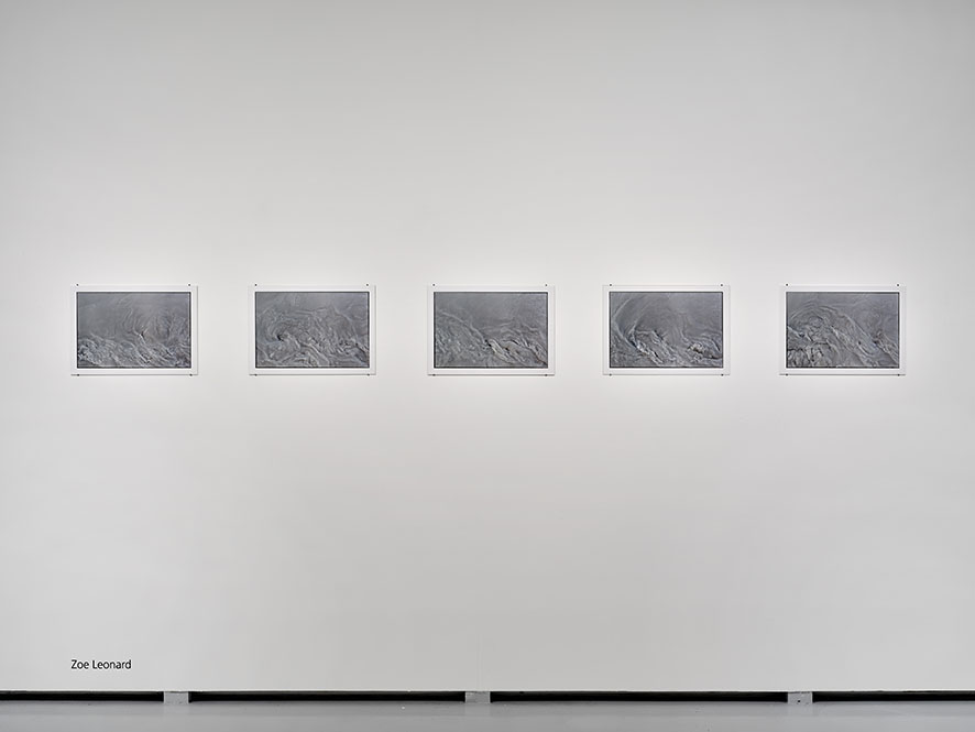 Zoe Leonard, Prologue (8th section), 2017, aus der Serie: Prologue, 2017–2022