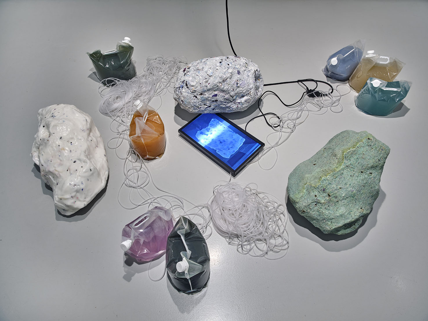 Katarína Dubovská, Intertwined Conditions (II), 2019–2020