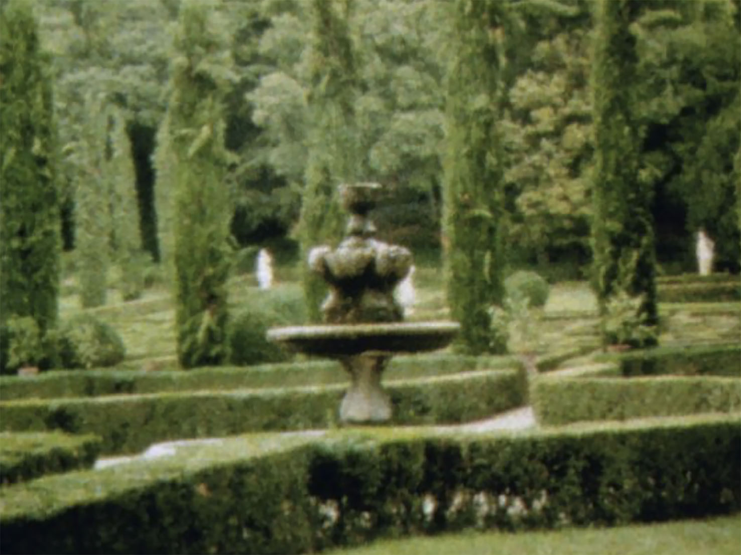 Talisa Lallai, Ungeheure Zypressen, 2015