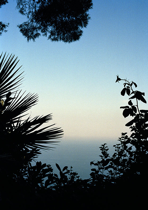 Talisa Lallai, Non vorrei ma devo andare, 2019