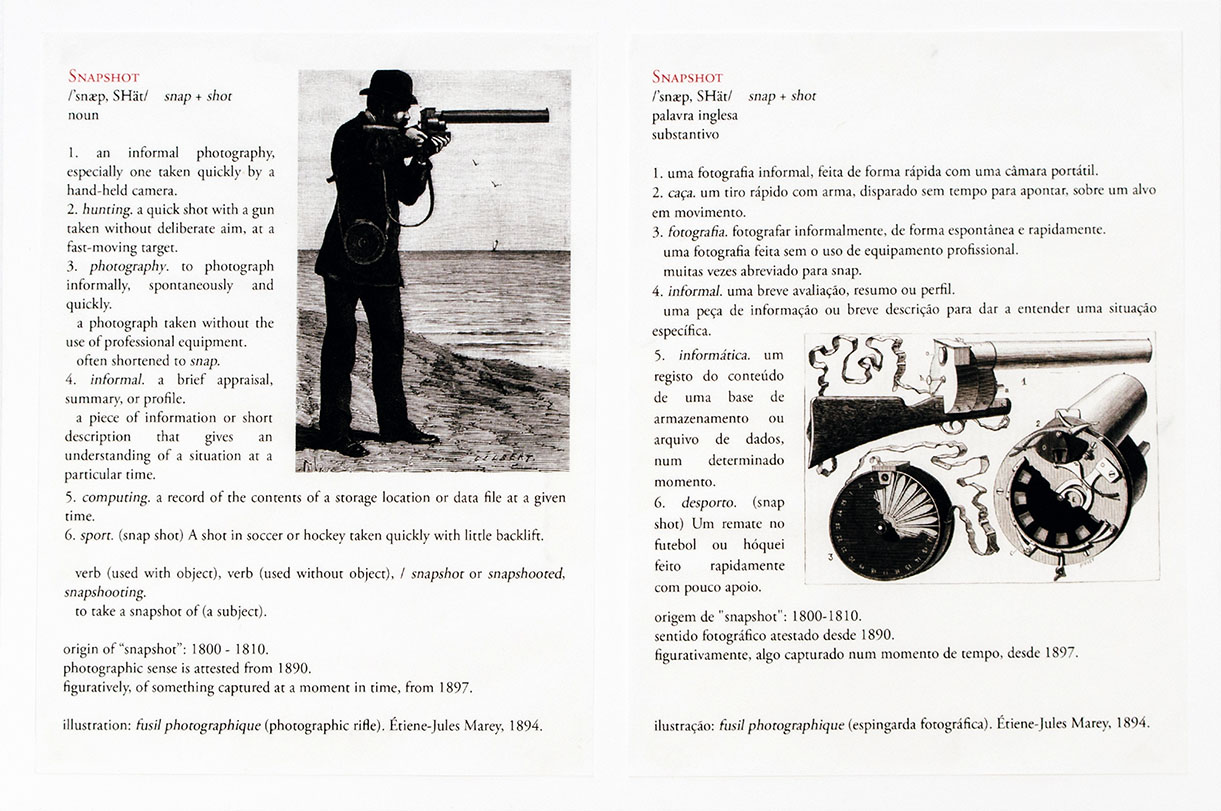 Valter Ventura, Snapshot: disambiguation, 2016, aus der Serie: Compendium of Photographic Observations – and Other Annotations about Things that Seem to Be but Are Not, 2017 fortlaufend