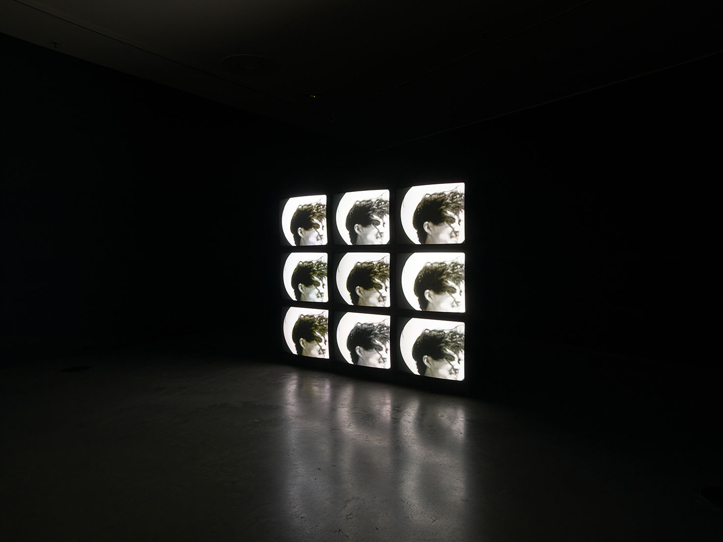 Heba Y. Amin, The Pupil of The Mosquito's Eye, 2014