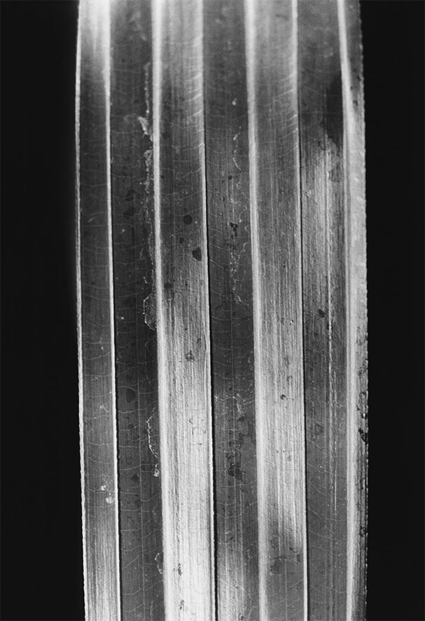 Anouk Tschanz, Blatt, 2019, aus der Serie: Blätter