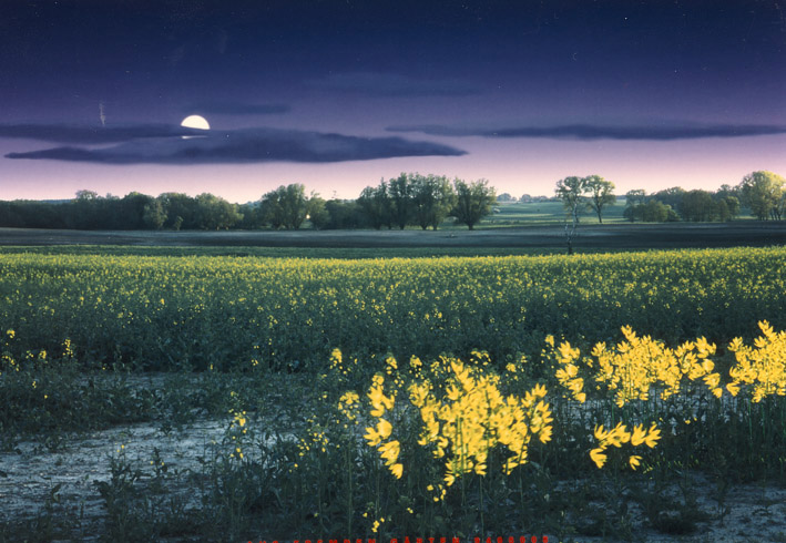 Caroline Dlugos, Aus fremden Gärten (Vollmond), 1994