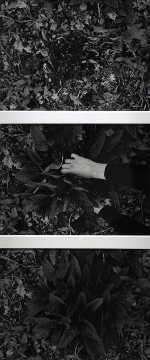 Helmut Schweizer, Ohne Titel, 2005, aus der Serie: Handlungen - Erinnerungen, 1970–1974