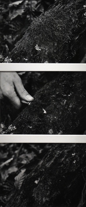 Helmut Schweizer, Ohne Titel, 2005, aus der Serie: Handlungen - Erinnerungen, 1970–1974