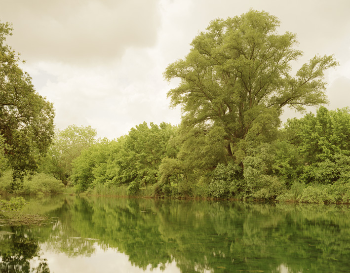 Elger Esser, Ninfa - Euneika, 2013/2014, aus der Serie: Ninfa