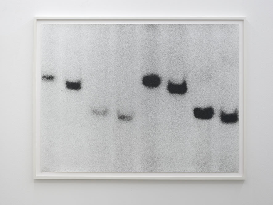 Jan Paul Evers, Apotropäische Psychotope, aus der Serie: Apotropäische Psychotope, 2020–2021