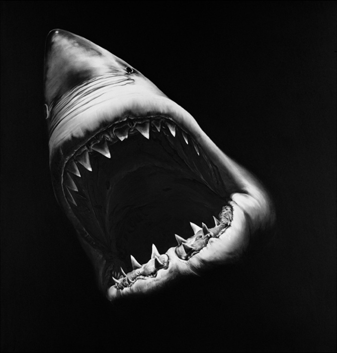 Robert Longo, Untitled. (Shark), 2010, aus der Serie: Perfect Gods, 2007
