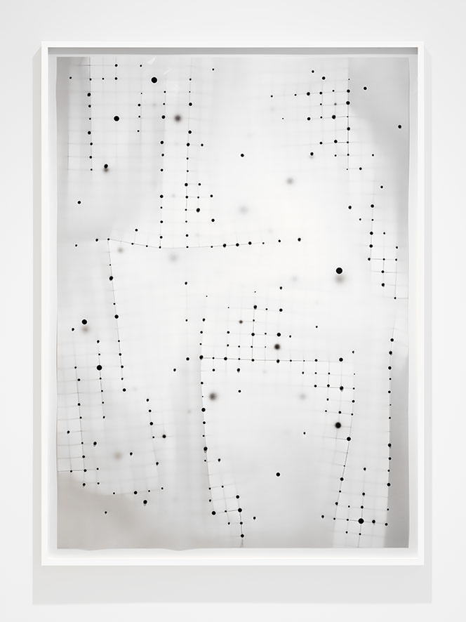 Christiane Feser, Felder 11, 2021, aus der Serie: Felder, seit 2019