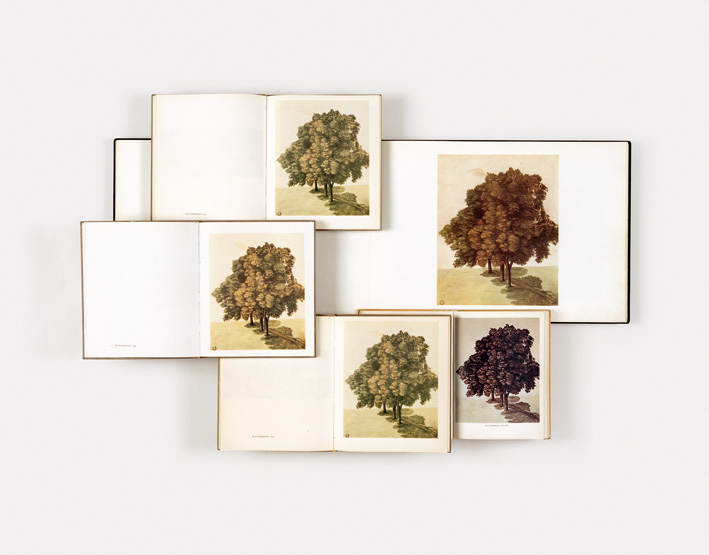 Claudia Angelmaier, Drei Lindenbäume, 2004, aus der Serie: Plants and Animals