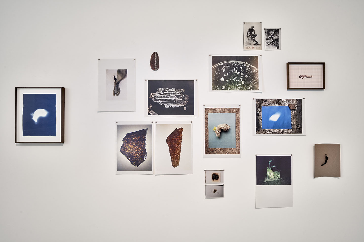 Helena Petersen, CINIS I Pompeji, 2014–2023